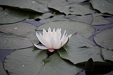 《逃离塔科夫》0.14版本更新日志 新手地图“中心区”上线